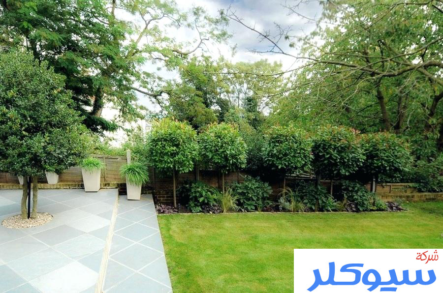 شركة تصميم شبكات الري بالطائف