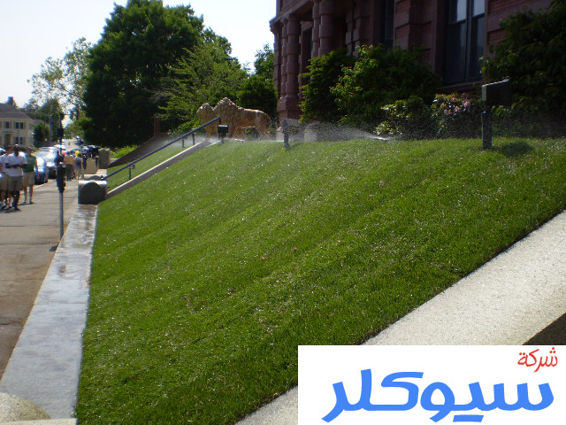 شركة تصميم شبكات الري بالقطيف
