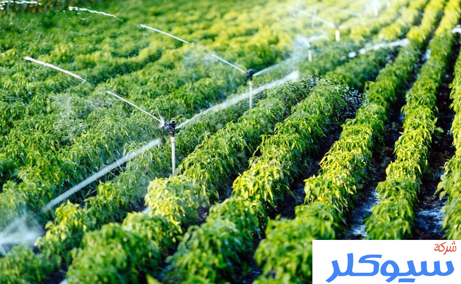 شركة تصميم شبكات الري بمكة