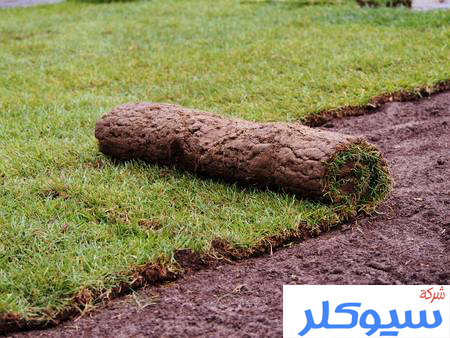 شركة تركيب وتوريد العشب الطبيعي بالرياض