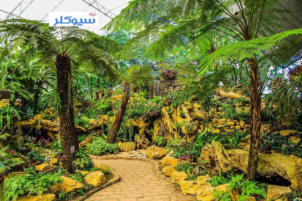 شركة تنسيق حدائق بالباحه