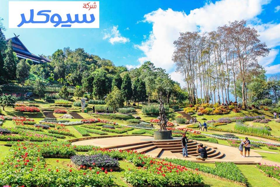 شركة تنسيق حدائق بجازان