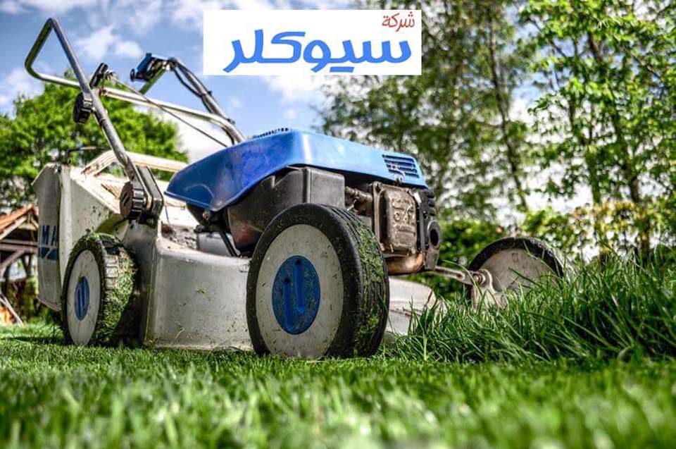 شركة تنسيق حدائق بالباحه