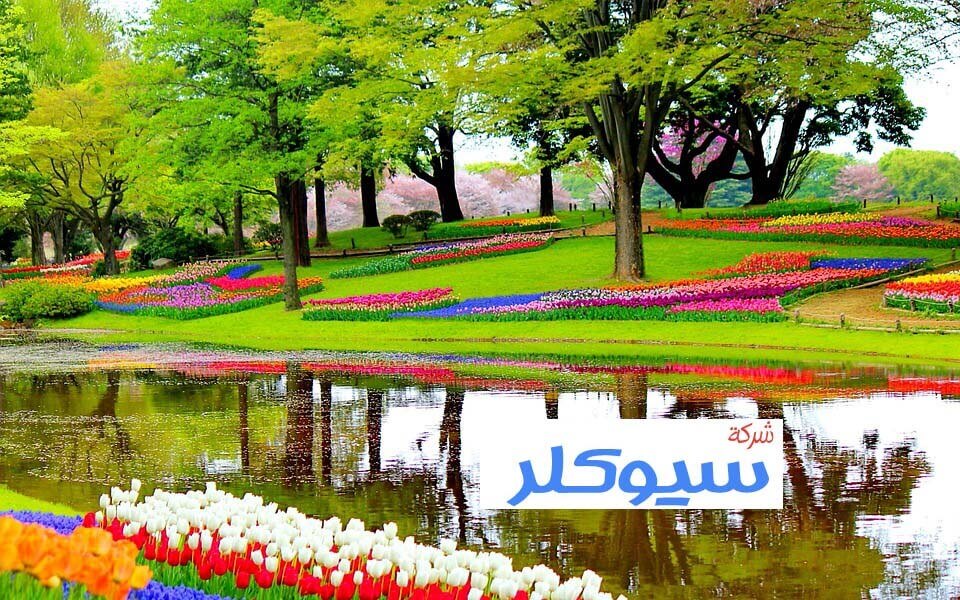 خصم 10% لتنسيق الحدائق والثيل