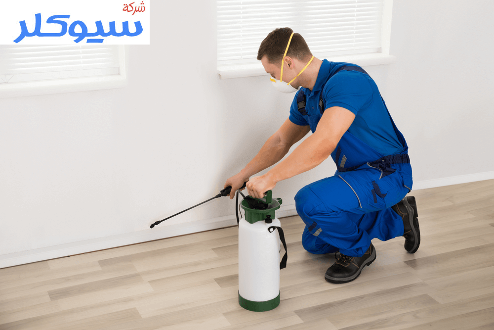 شركة رش مبيدات بالاحساء