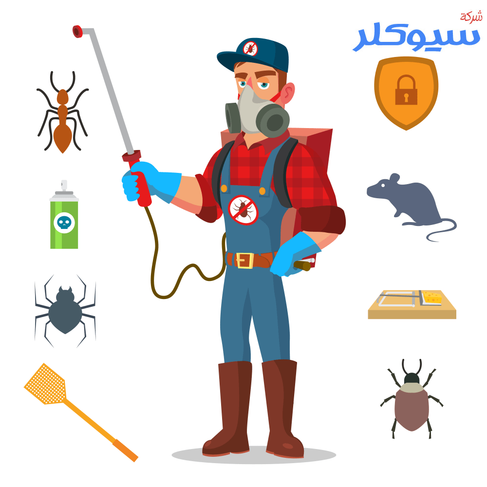 شركة مكافحة حشرات بالدمام
