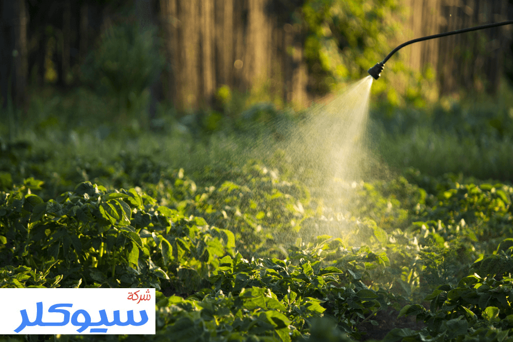 شركة رش مبيدات بالطائف