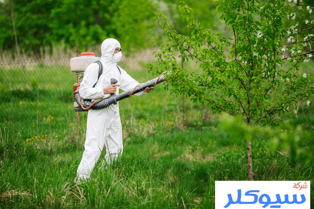 شركة رش مبيدات بالطائف
