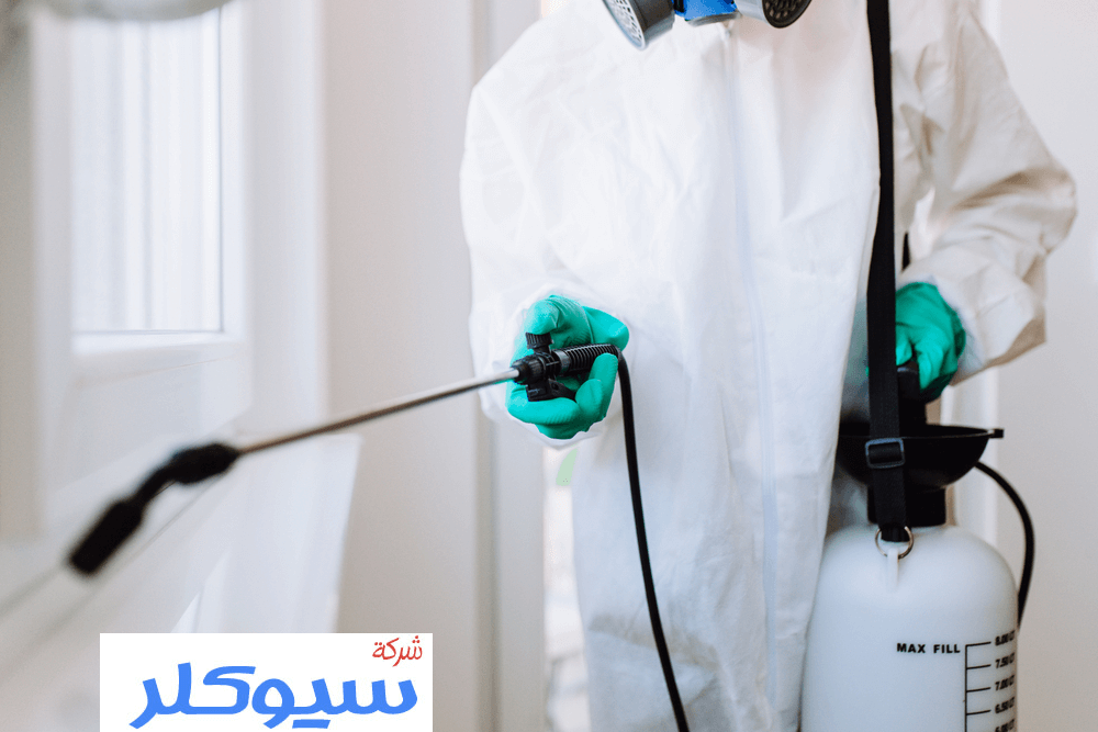 شركة رش مبيدات بالرياض