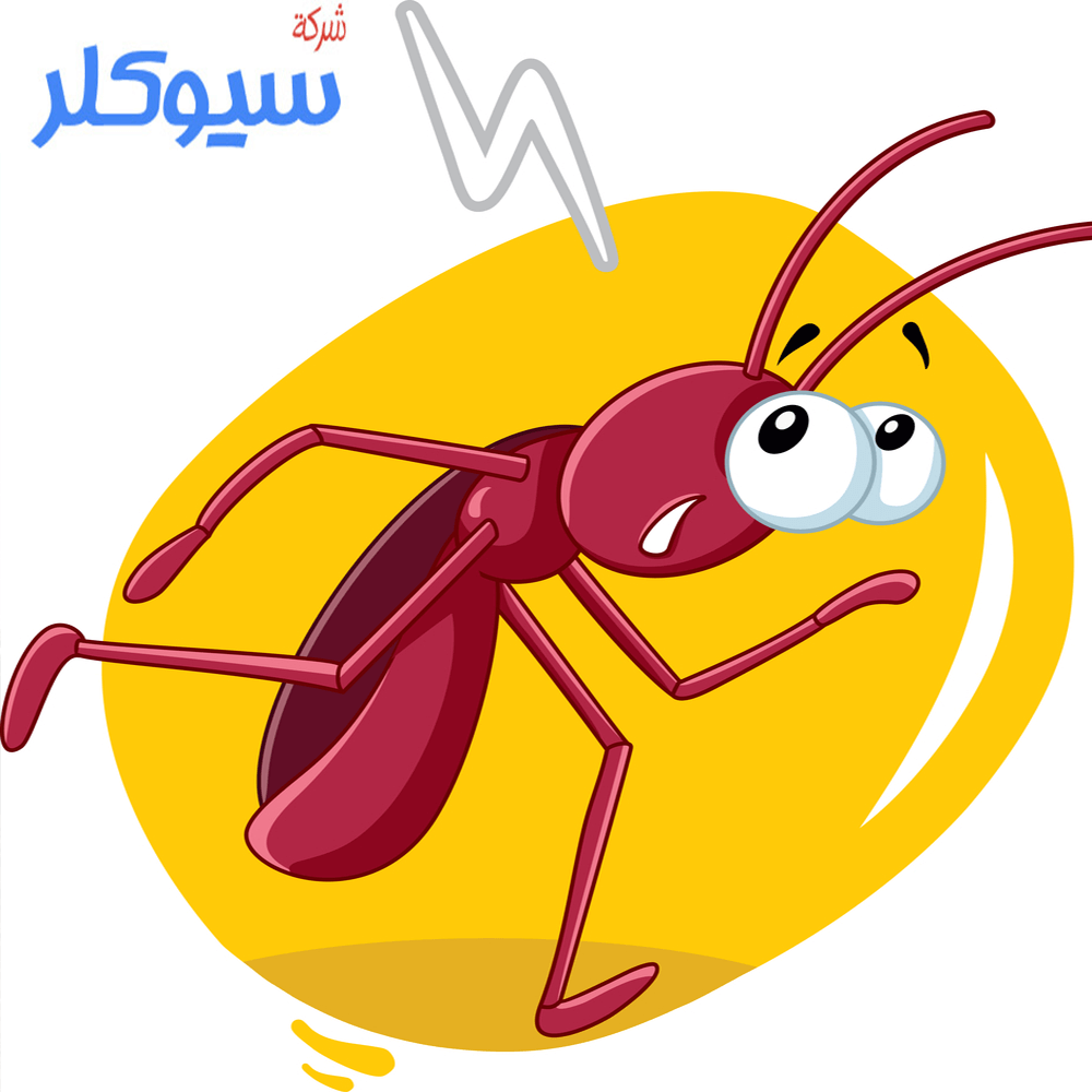 شركة مكافحة حشرات بالقطيف