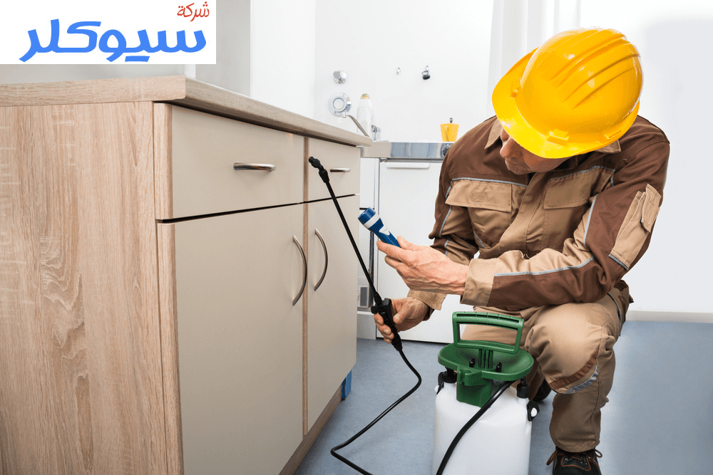 شركة مكافحة حشرات بالرياض