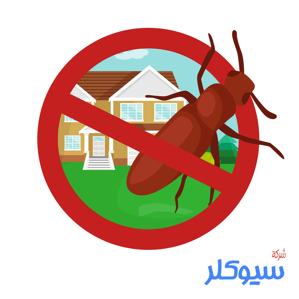 شركة مكافحة الصراصير بالطائف