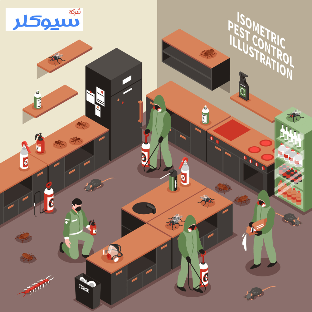 شركة مكافحة الفئران بالاحساء