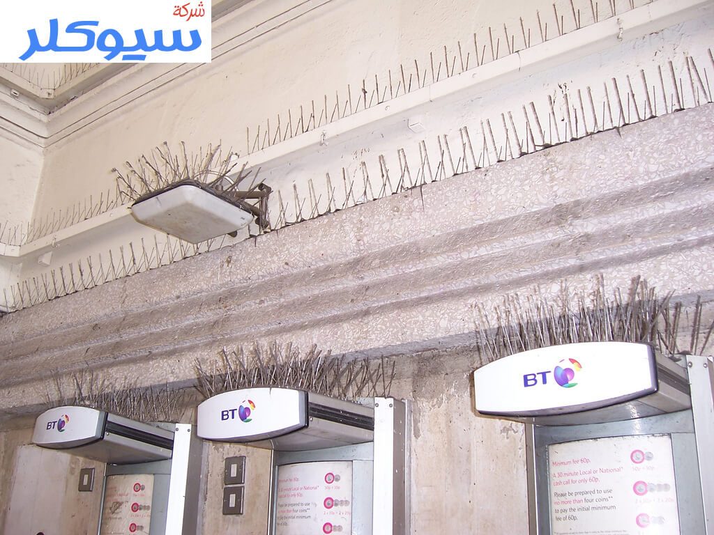 شركة تركيب طارد حمام بتبوك