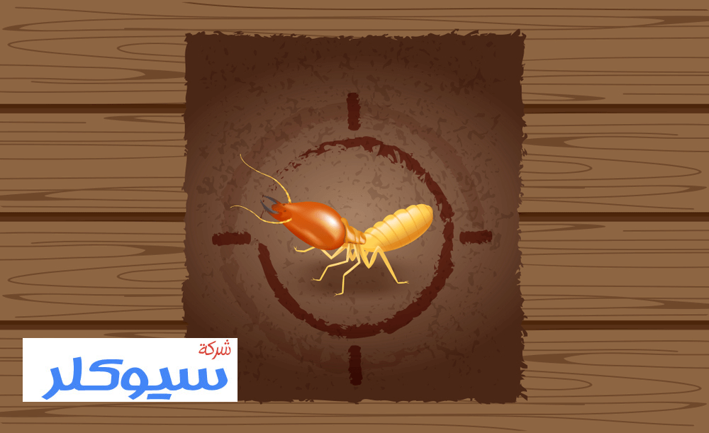 شركة مكافحة النمل الابيض بالرياض