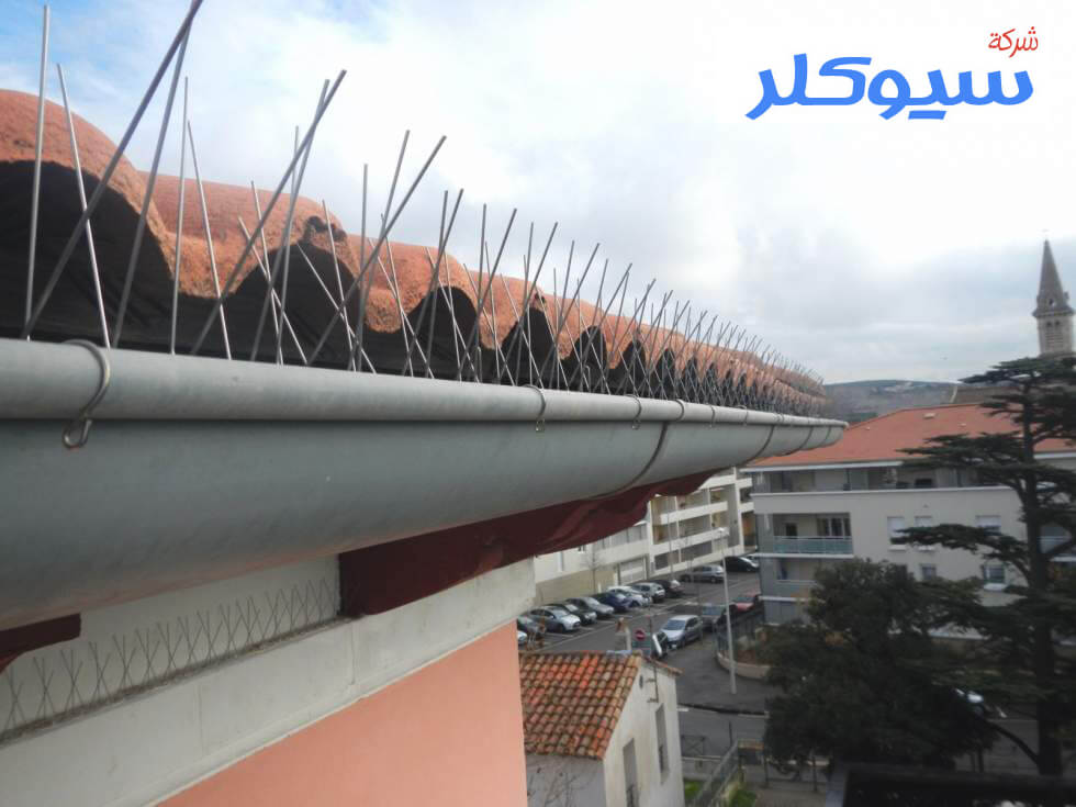 شركة تركيب طارد حمام بحائل
