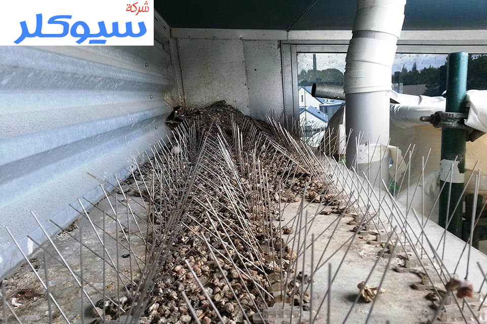 شركات تركيب طارد حمام بالقطيف