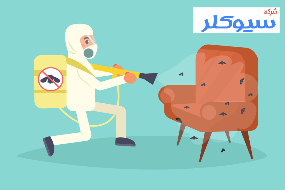 شركة مكافحة الصراصير بالرياض
