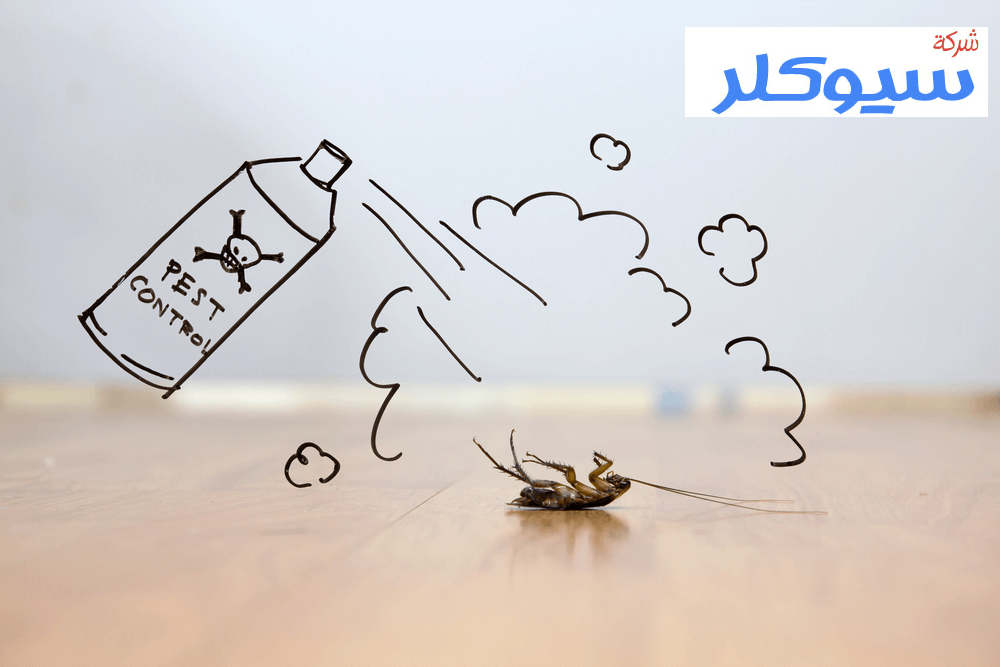 شركة مكافحة الصراصير بالدمام