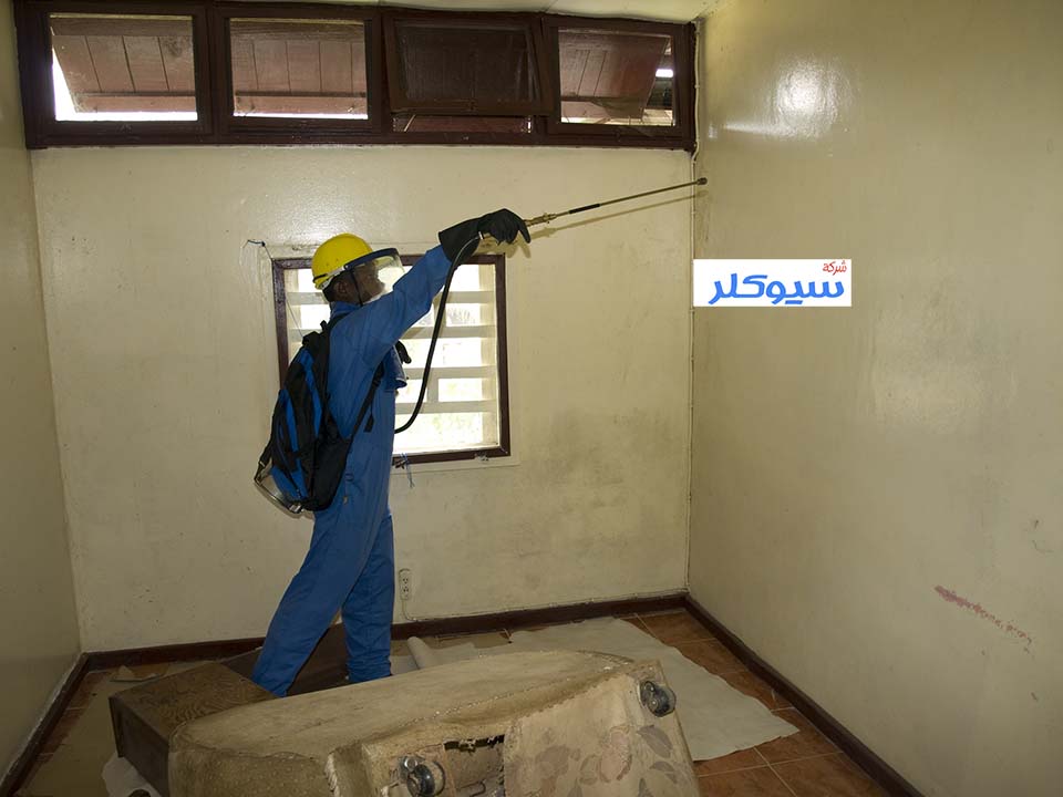 شركة مكافحة الصراصير بخميس مشيط