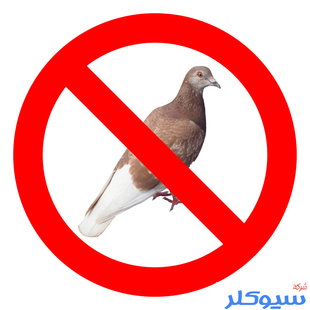 شركة تركيب طارد حمام بالقصيم