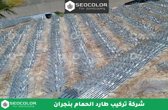 شركة تركيب طارد الحمام بنجران