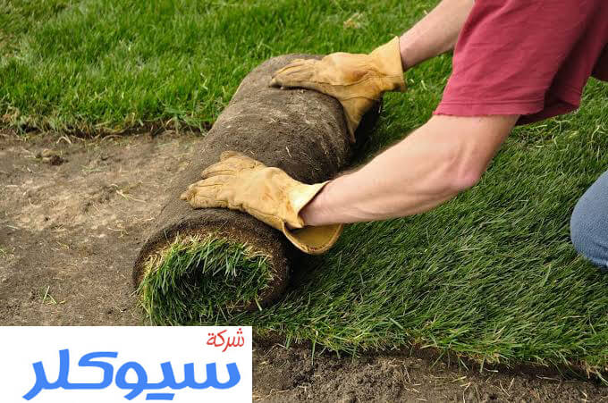 محلات تنسيق حدائق بالدمام