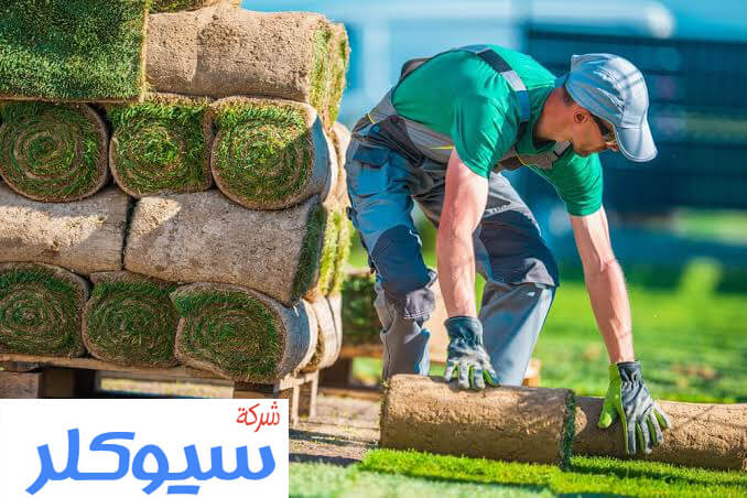 مهندس تصميم حدائق بالدمام