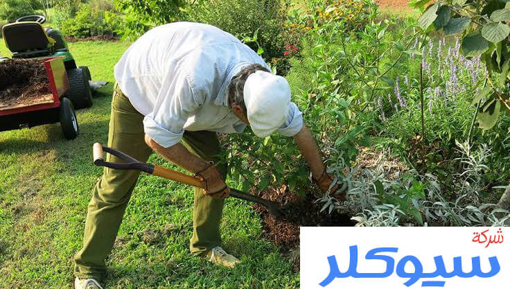 شركة تنظيم حدائق بالدمام