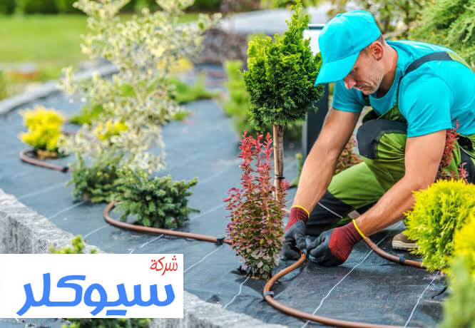 محلات تنسيق حدائق بالدمام