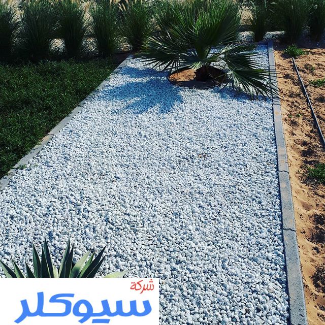 مصمم لاند سكيب بالطائف