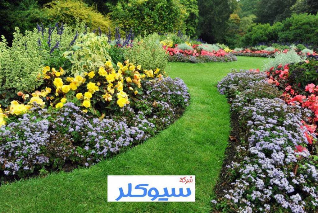 شركة تنسيق حدائق ببريدة
