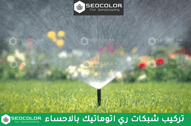 تركيب شبكات ري اتوماتيك بالاحساء
