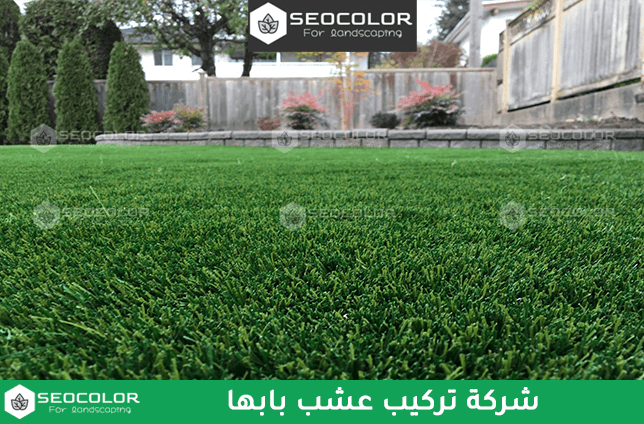 شركة تركيب صناعي عشب بابها
