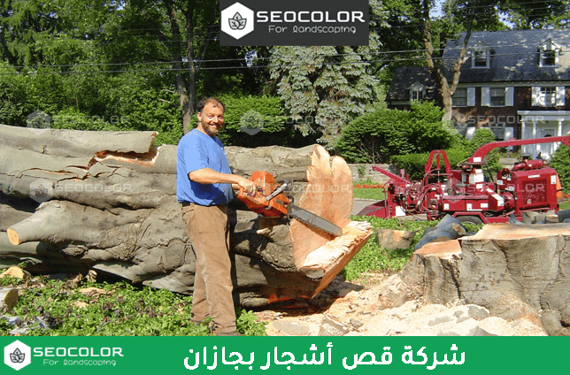 شركة قص أشجار بجازان