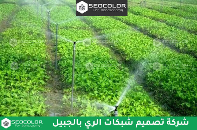 شركة تصميم شبكة ري بالجبيل