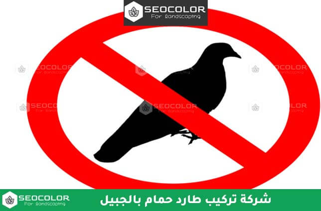 شركة تركيب طارد الحمام بالجبيل