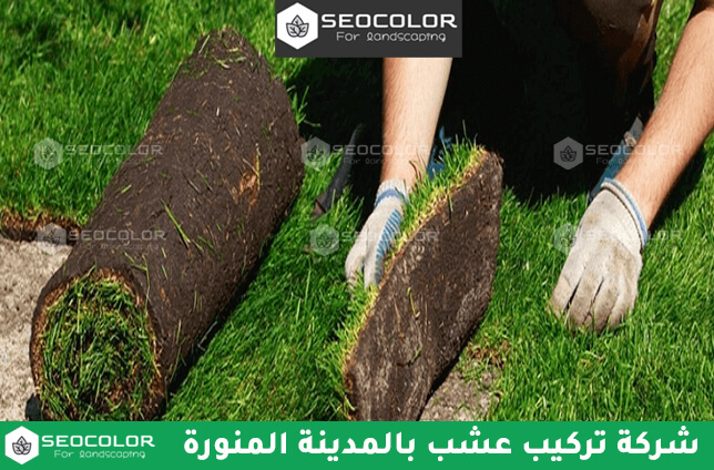 شركة تركيب عشب صناعي بالمدينة المنورة