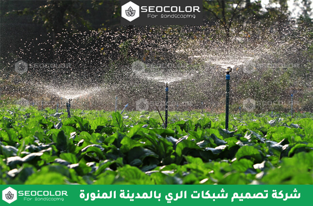 شركة تصميم شبكات الري بالمدينة المنورة