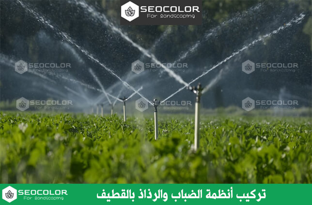 تركيب أنظمة الضباب والرذاذ بالقطيف