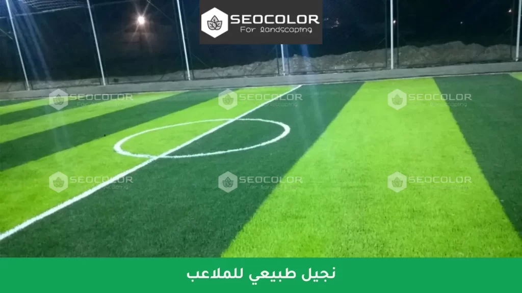 نجيل طبيعي للملاعب