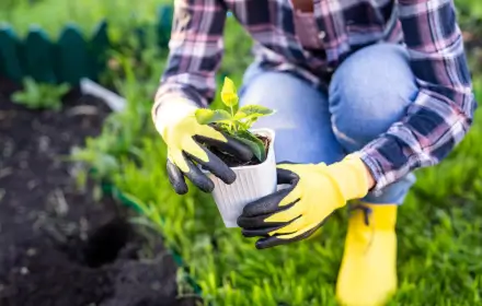 تصميم حدائق منزلية بالرياض